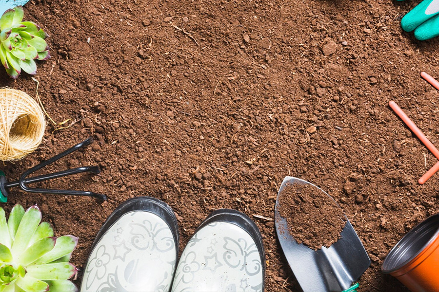 Jak przygotować glebę pod trawy ozdobne?